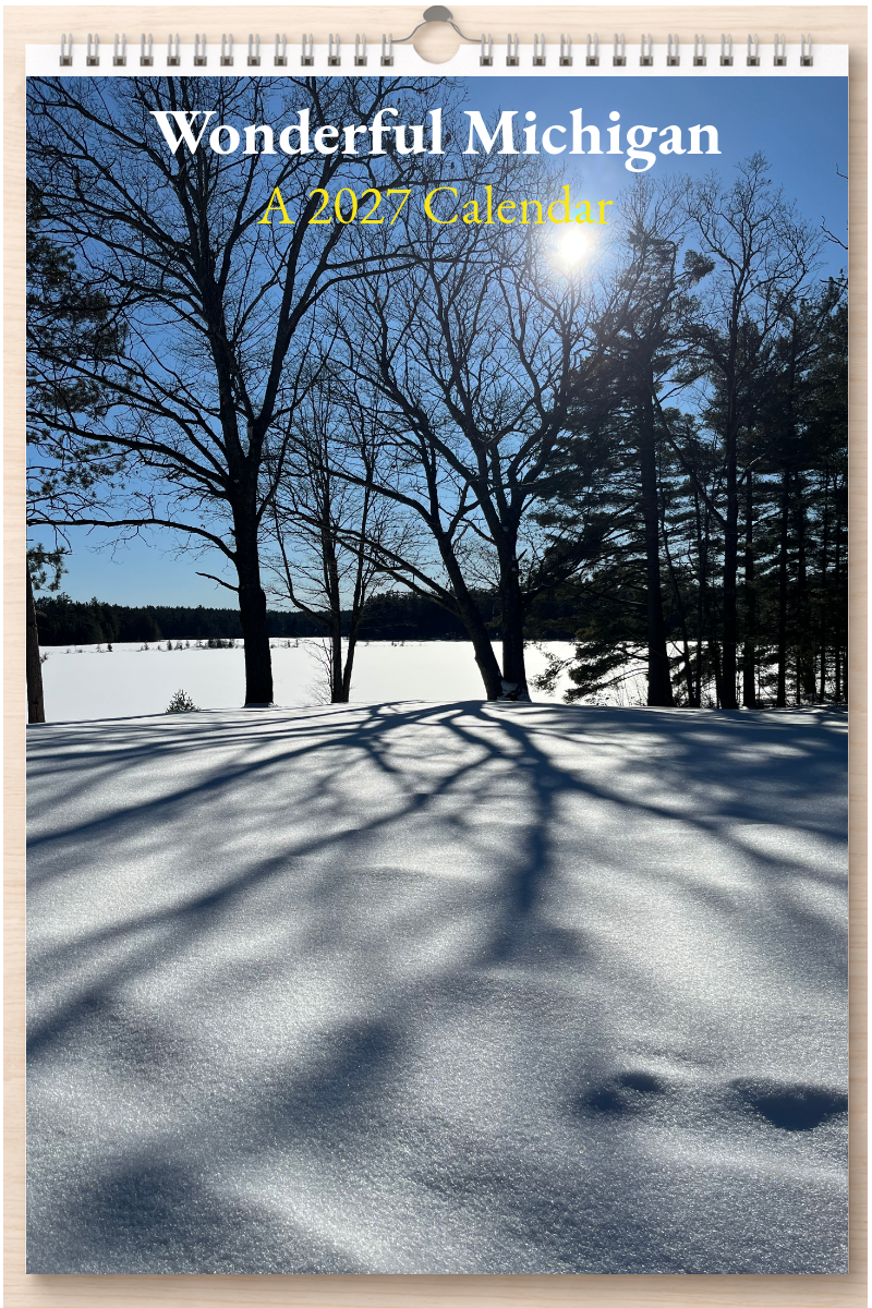 Wonderful Michigan: A 2027 Calendar