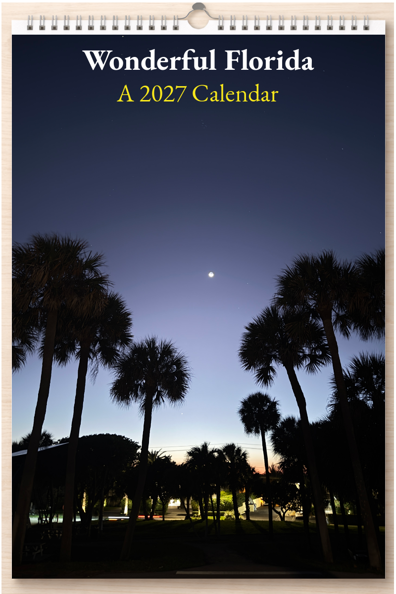 Wonderful Florida: A 2027 Calendar