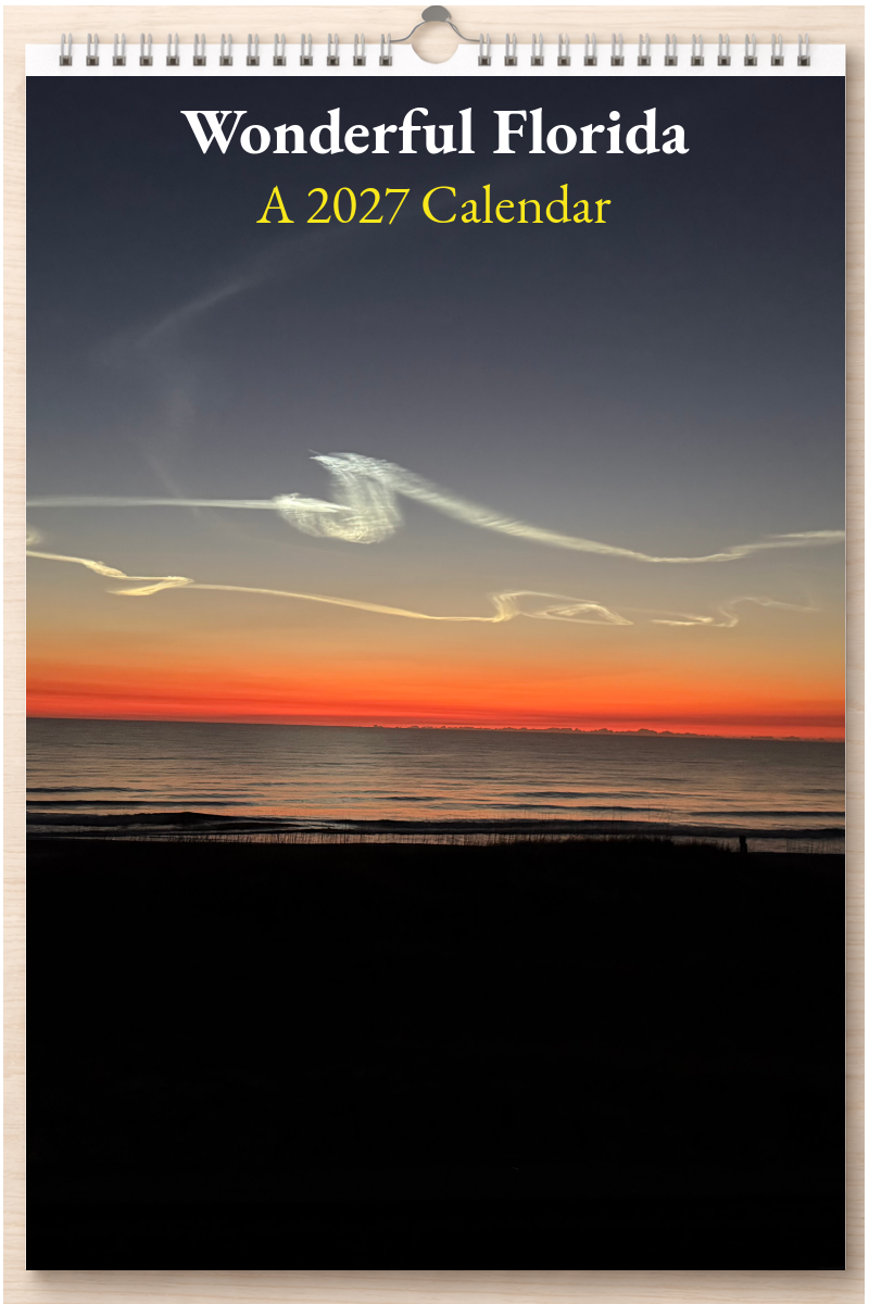 Wonderful Florida: A 2027 Calendar