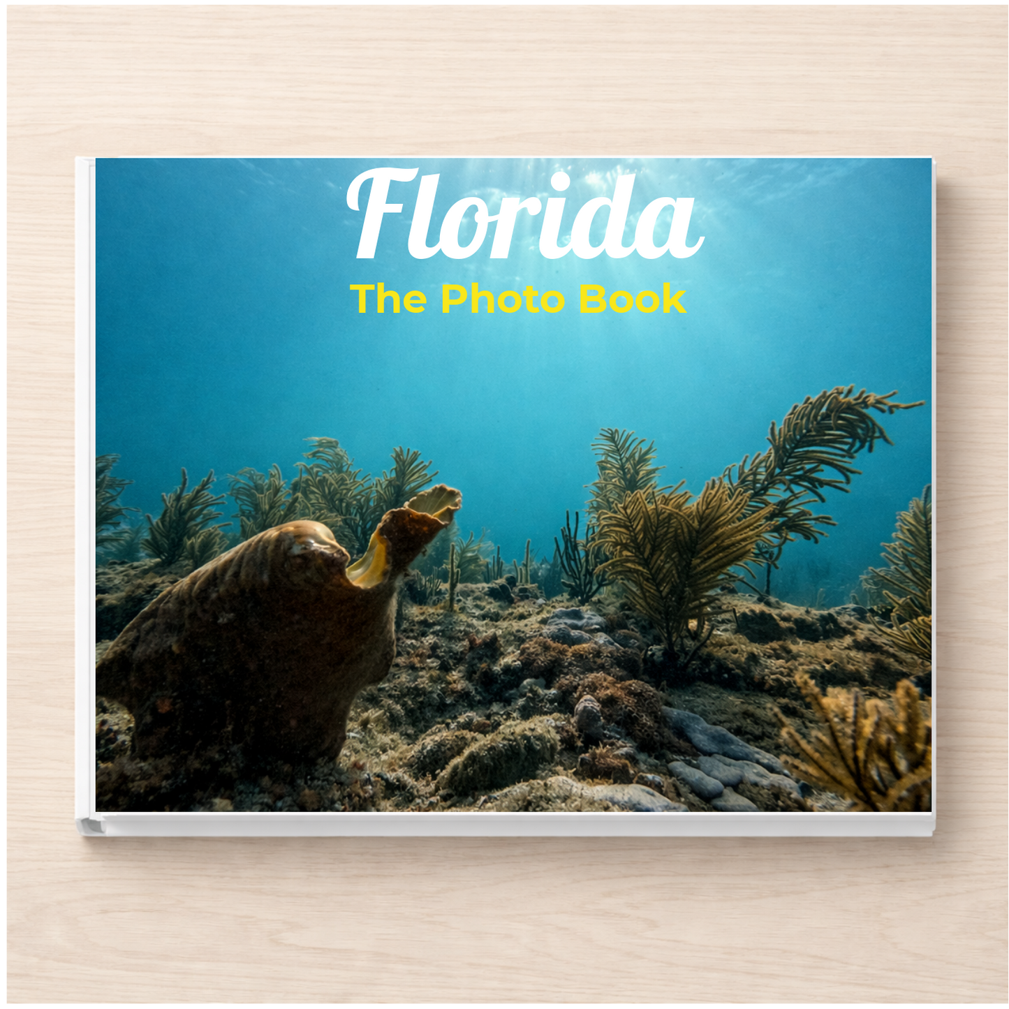 Florida: The Photo Book