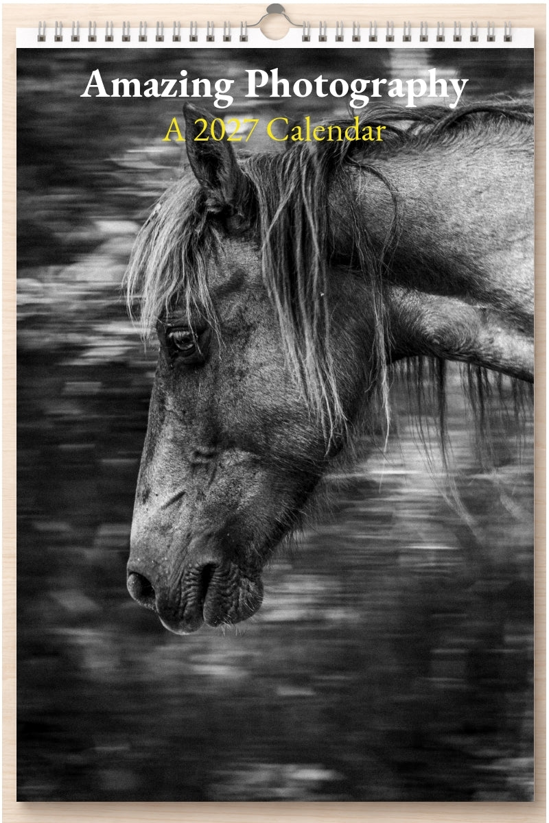 Amazing Photography: A 2027 Calendar