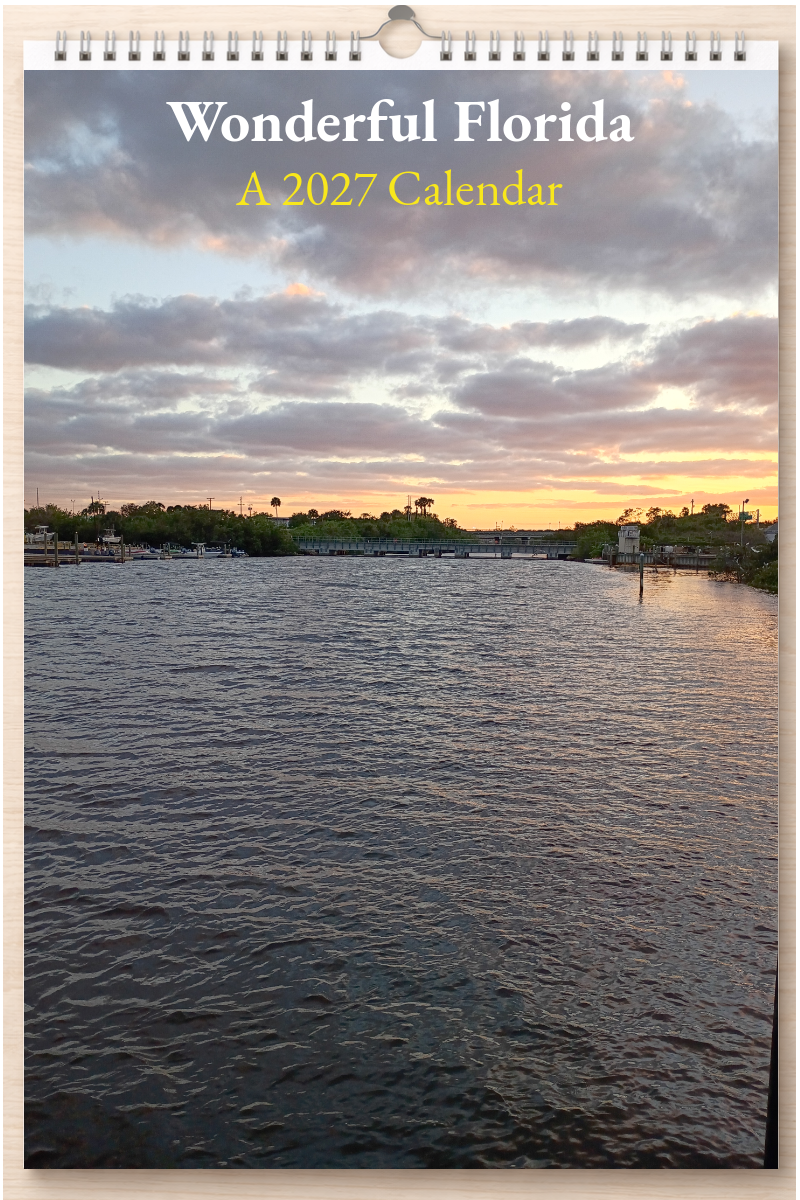 Wonderful Florida: A 2027 Calendar