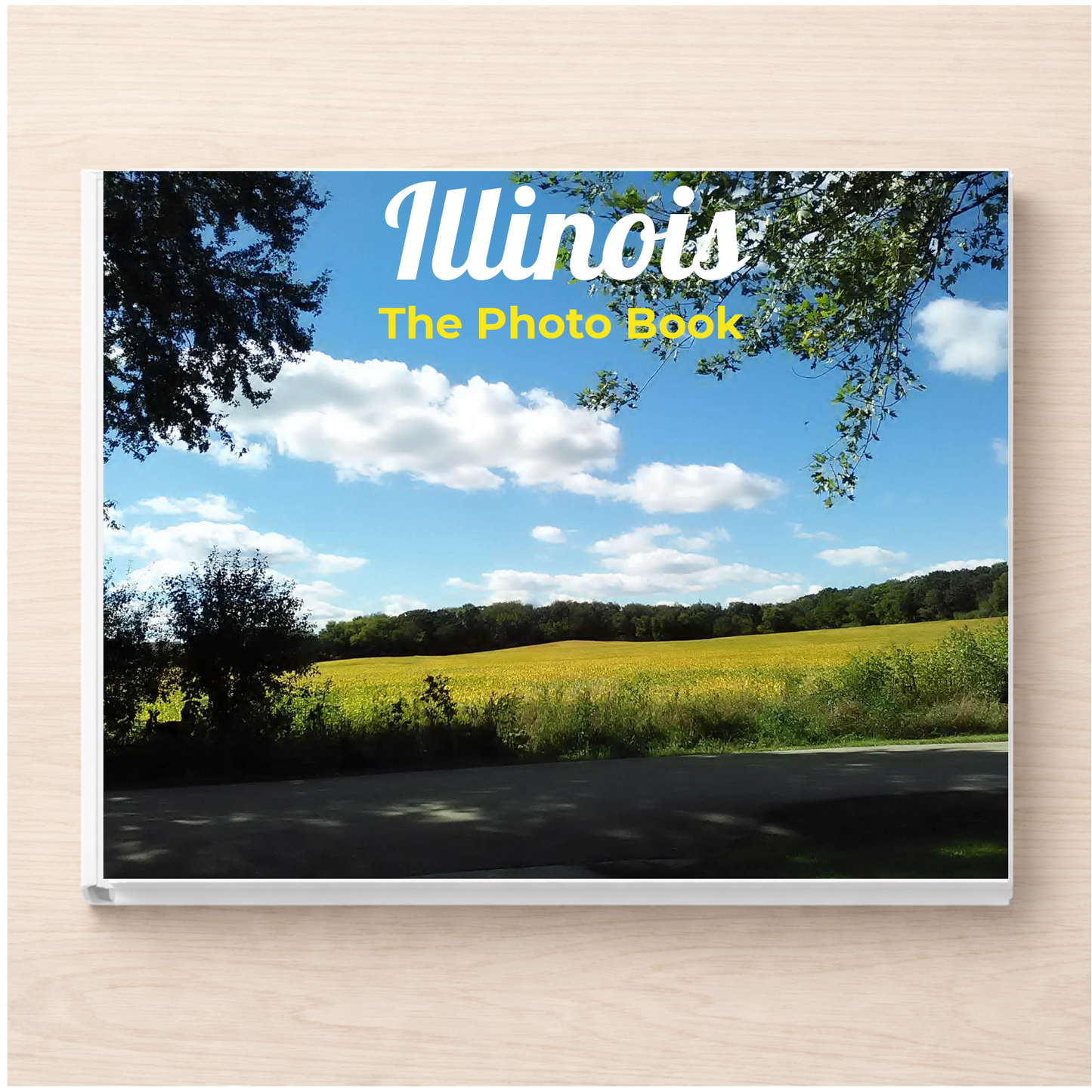 Illinois: The Photo Book