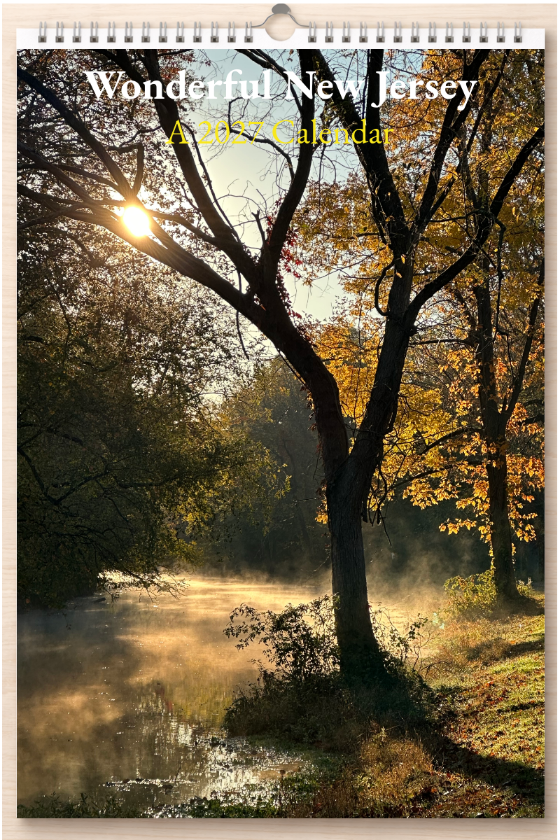 Wonderful New Jersey: A 2027 Calendar