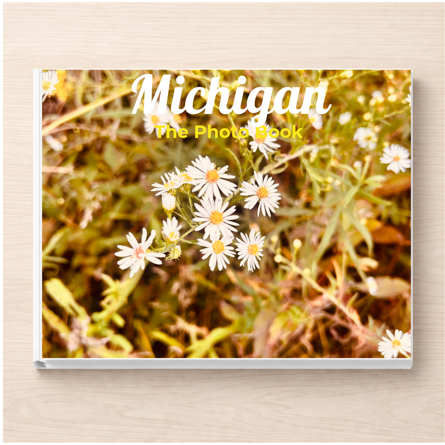 Michigan: The Photo Book