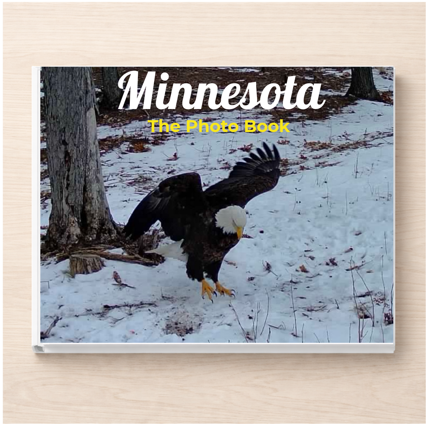 Minnesota: The Photo Book