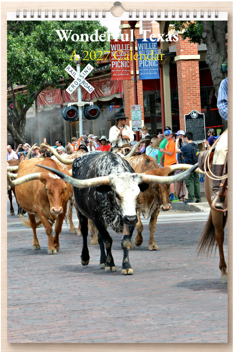 Wonderful Texas: A 2027 Calendar