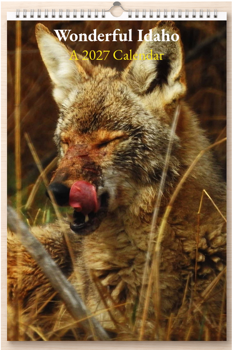 Wonderful Idaho: A 2027 Calendar