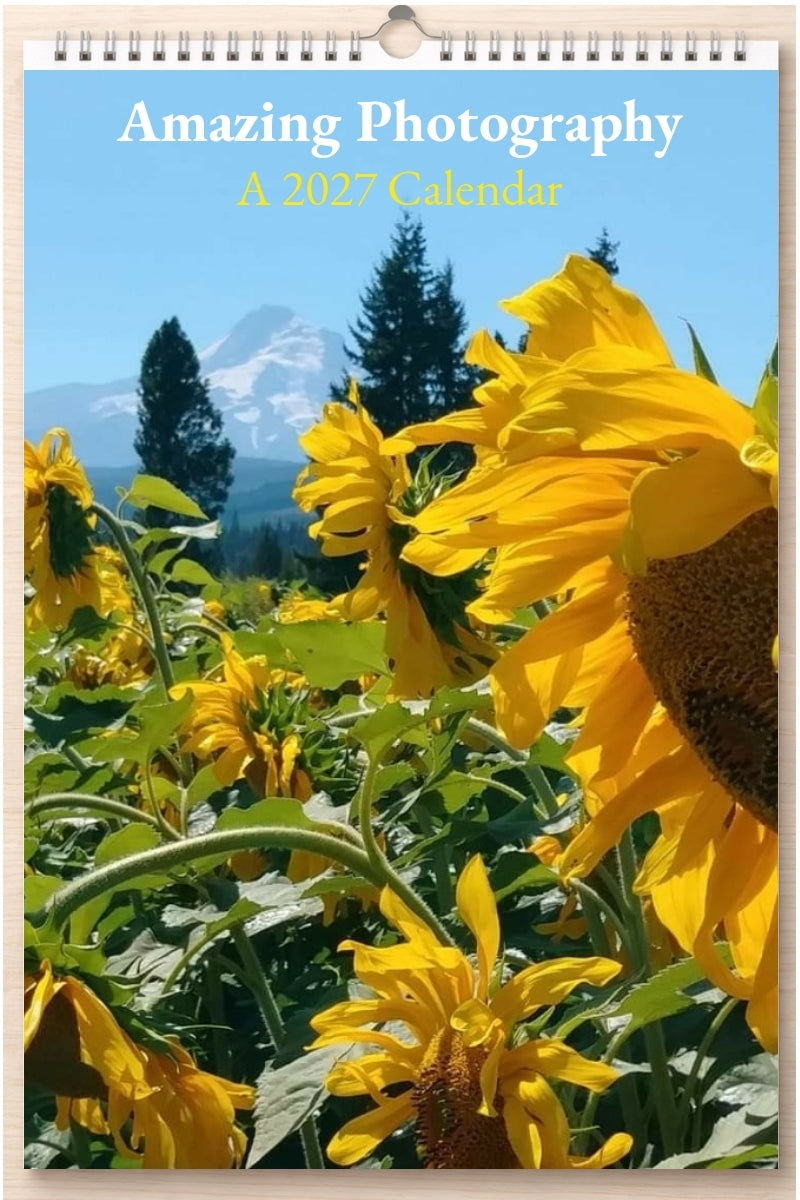 Amazing Photography: A 2027 Calendar