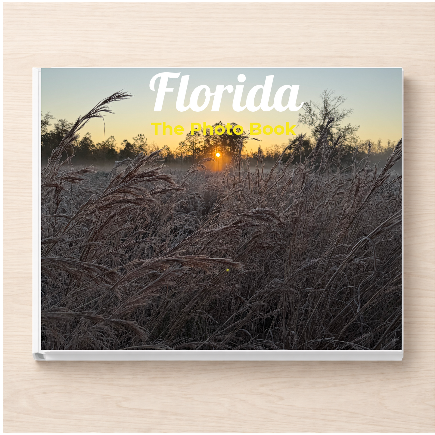 Florida: The Photo Book