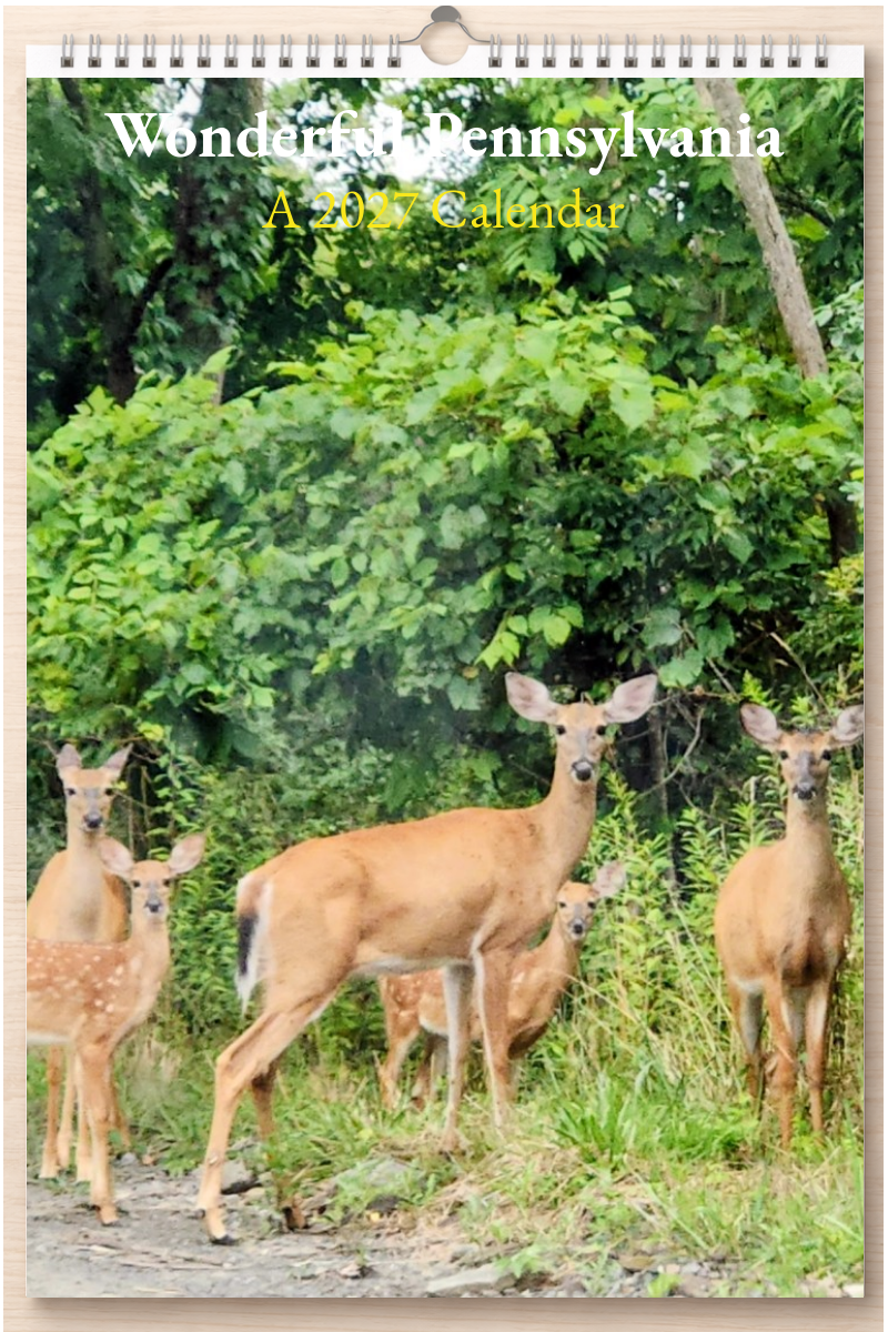 Wonderful Pennsylvania: A 2027 Calendar