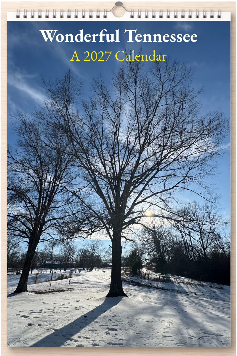 Wonderful Tennessee: A 2027 Calendar