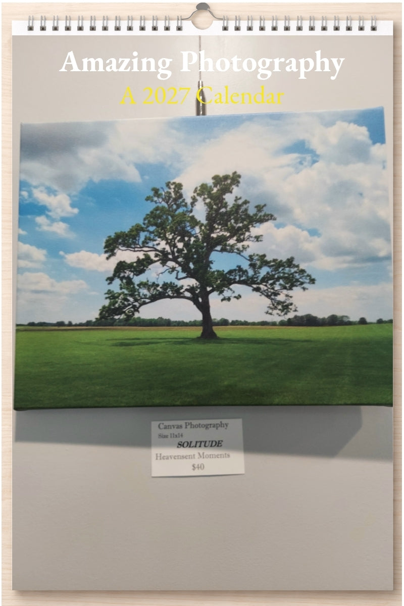 Amazing Photography: A 2027 Calendar