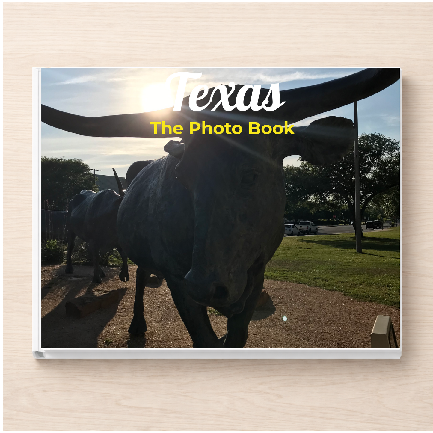 Texas: The Photo Book