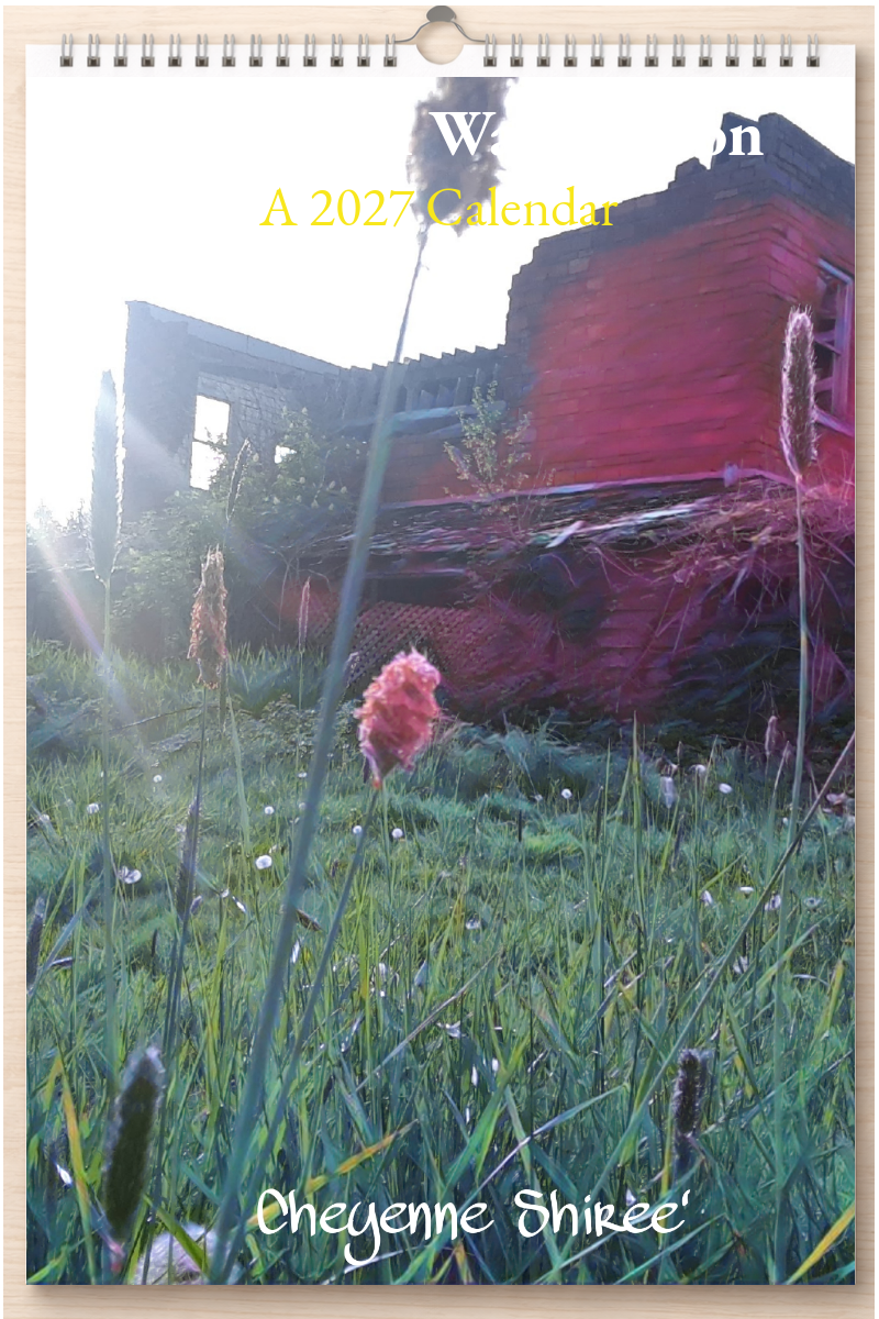 Wonderful Washington: A 2027 Calendar