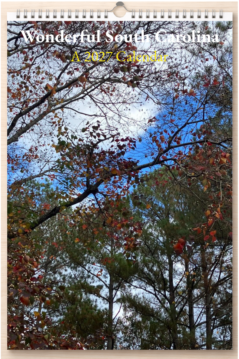 Wonderful South Carolina: A 2027 Calendar