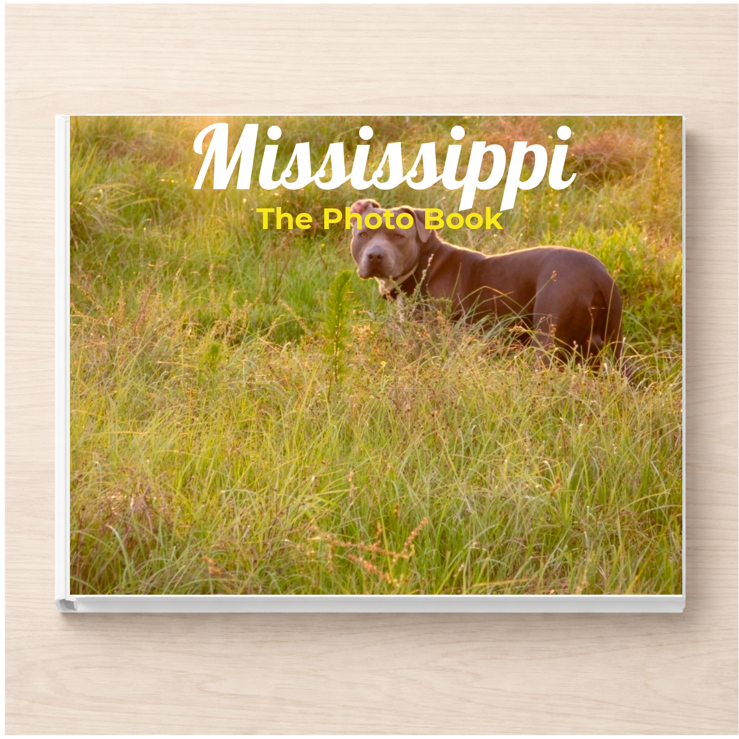 Mississippi: The Photo Book