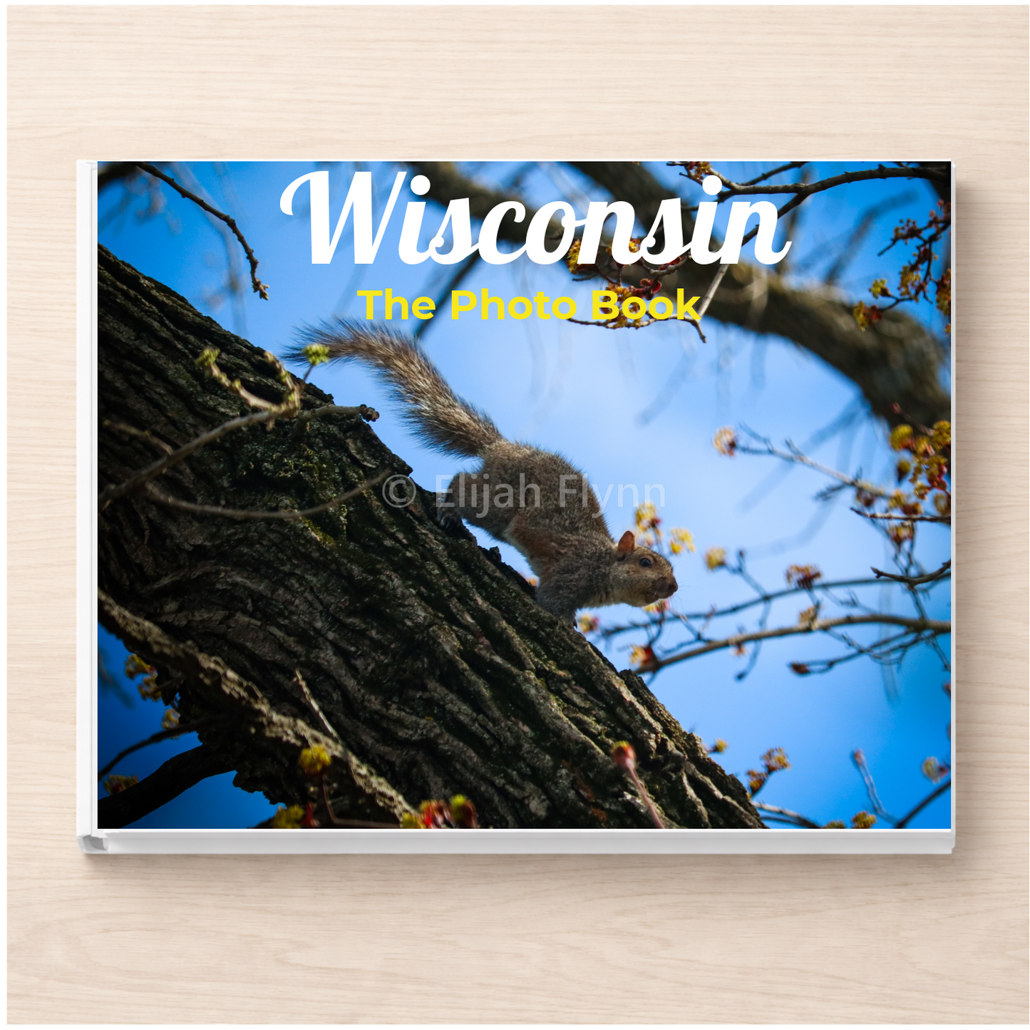 Wisconsin: The Photo Book