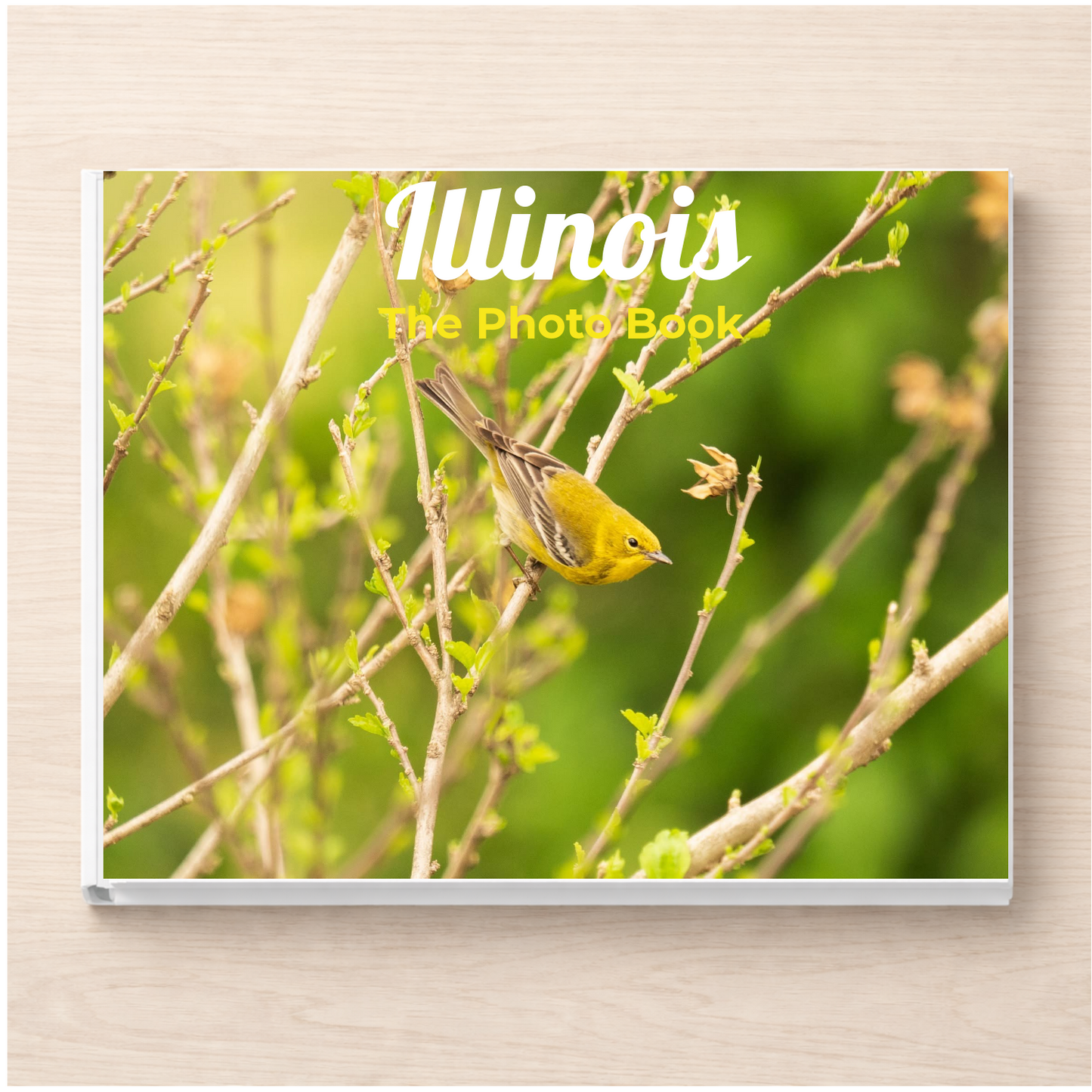 Illinois: The Photo Book