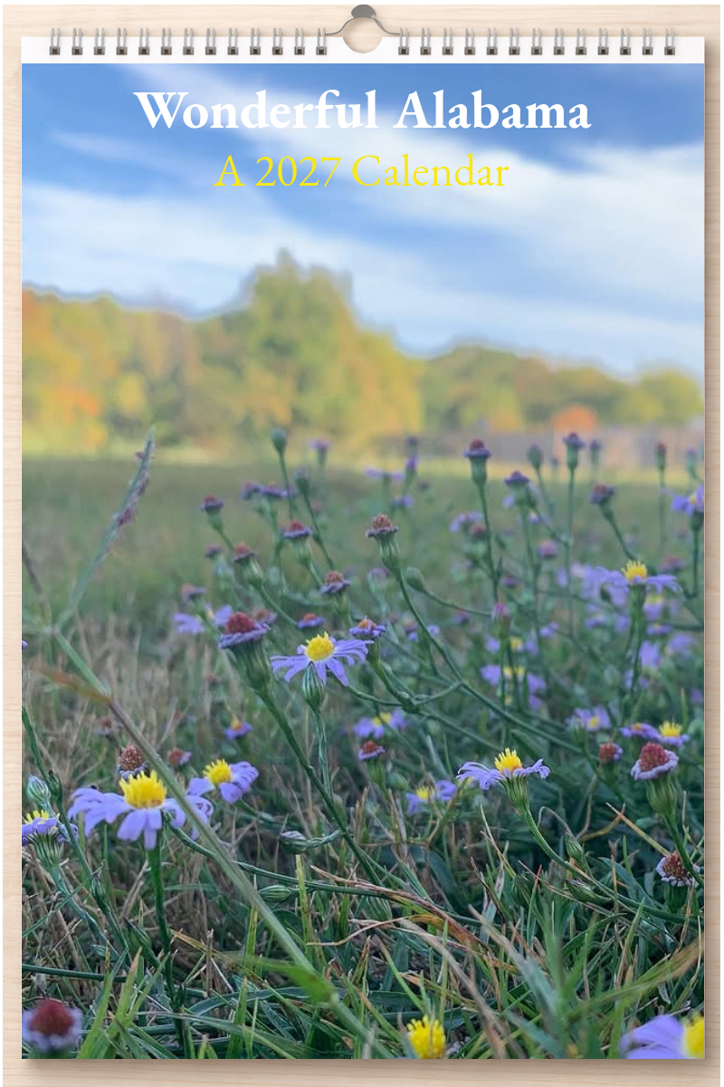 Wonderful Alabama: A 2027 Calendar