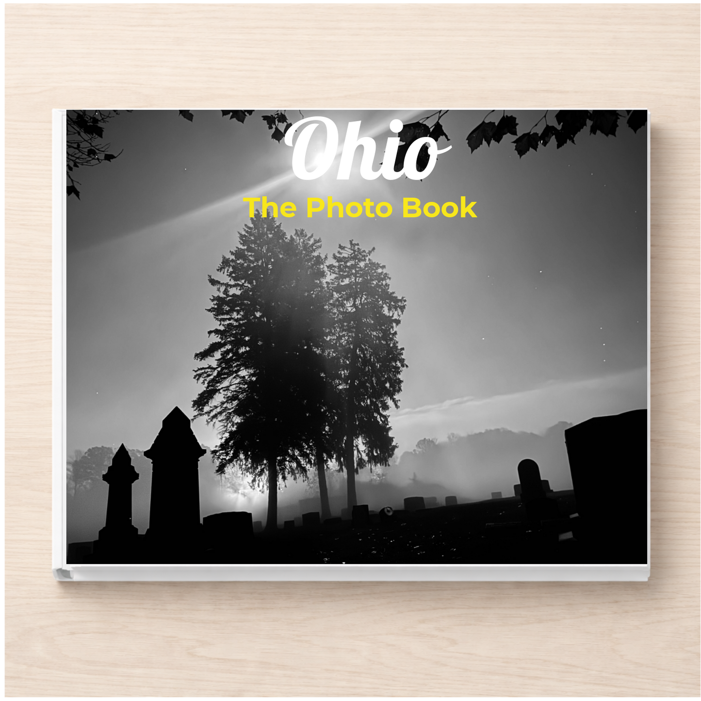 Ohio: The Photo Book