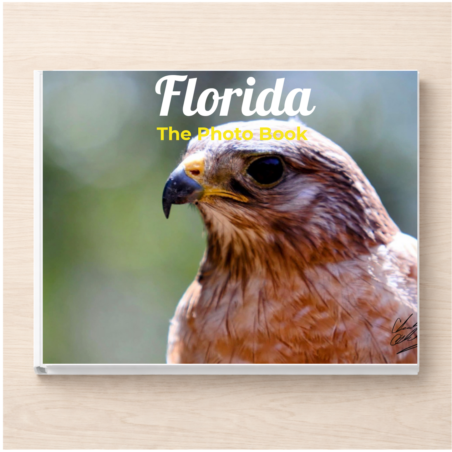 Florida: The Photo Book