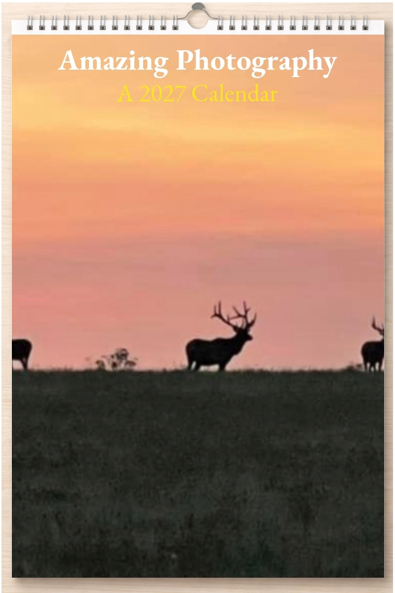 Amazing Photography: A 2027 Calendar