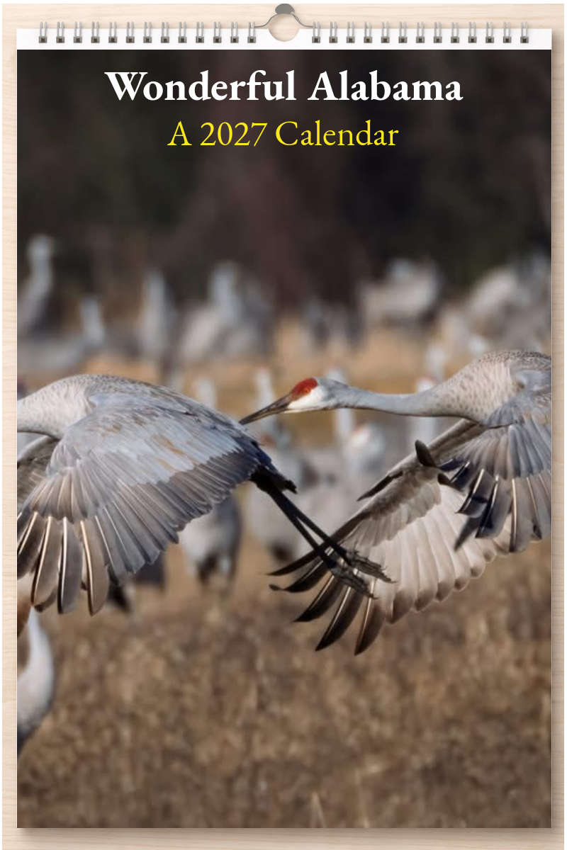 Wonderful Alabama: A 2027 Calendar