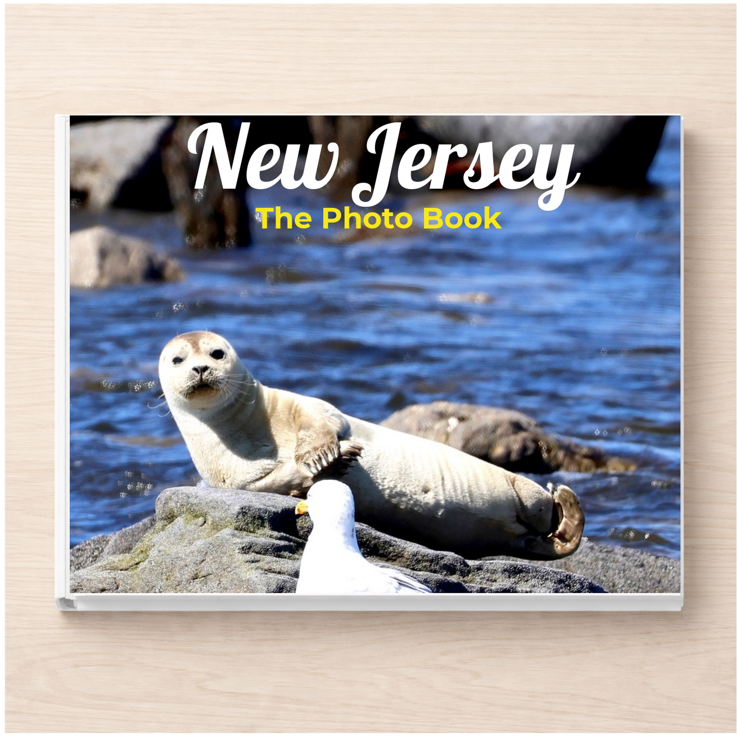 New Jersey: The Photo Book