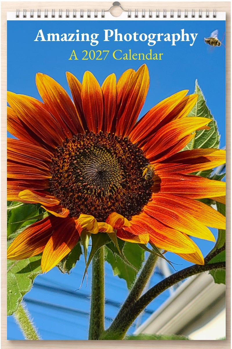 Amazing Photography: A 2027 Calendar