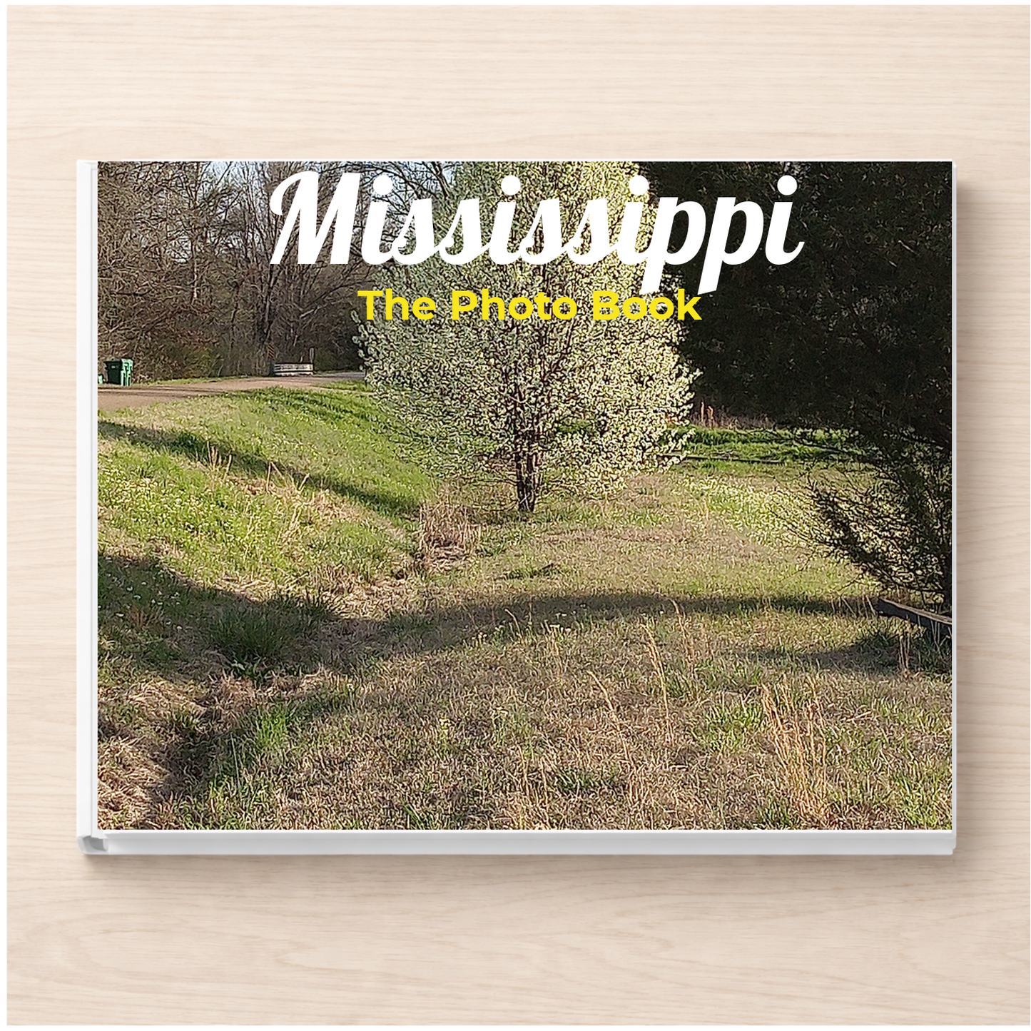 Mississippi: The Photo Book