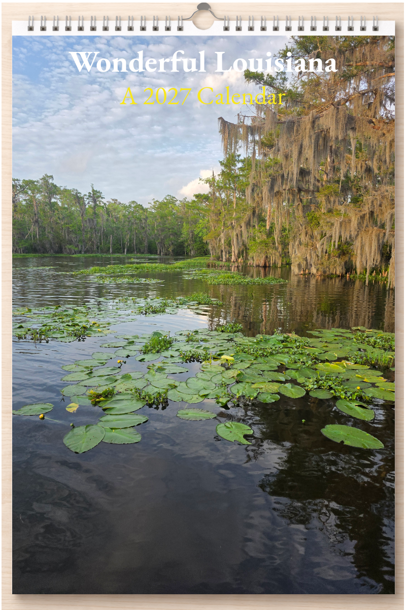 Wonderful Louisiana: A 2027 Calendar
