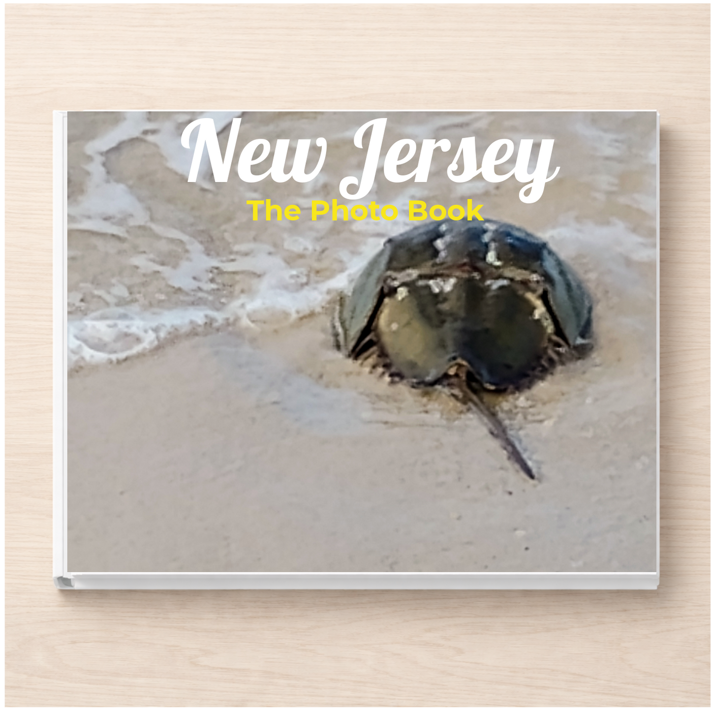 New Jersey: The Photo Book