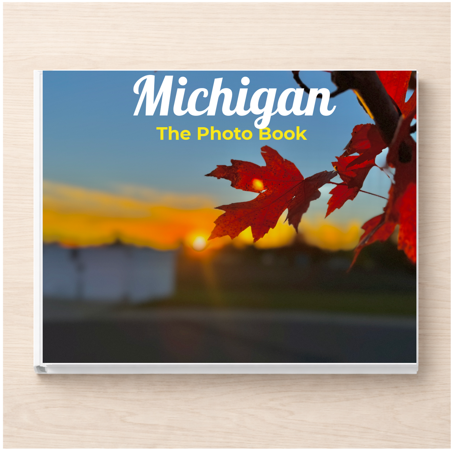Michigan: The Photo Book