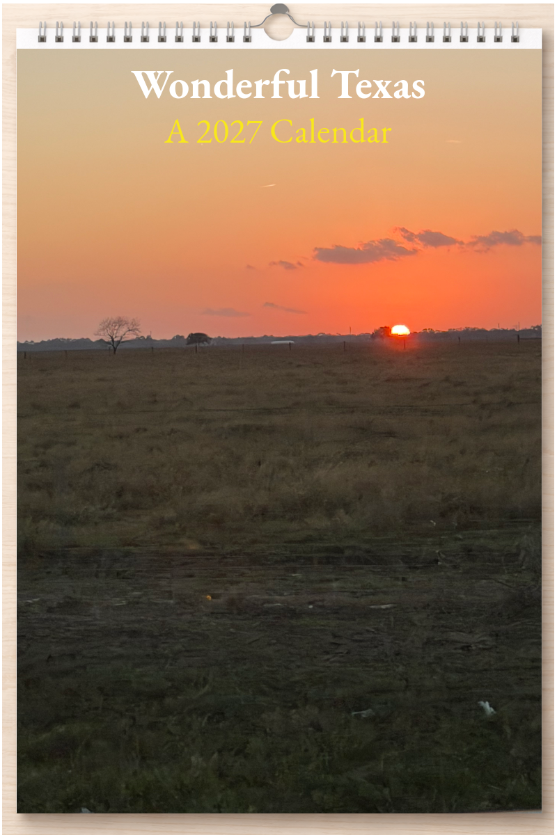 Wonderful Texas: A 2027 Calendar