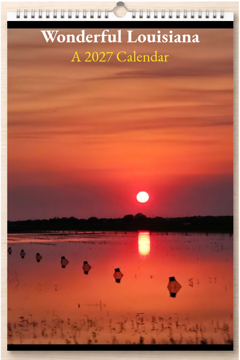 Wonderful Louisiana: A 2027 Calendar