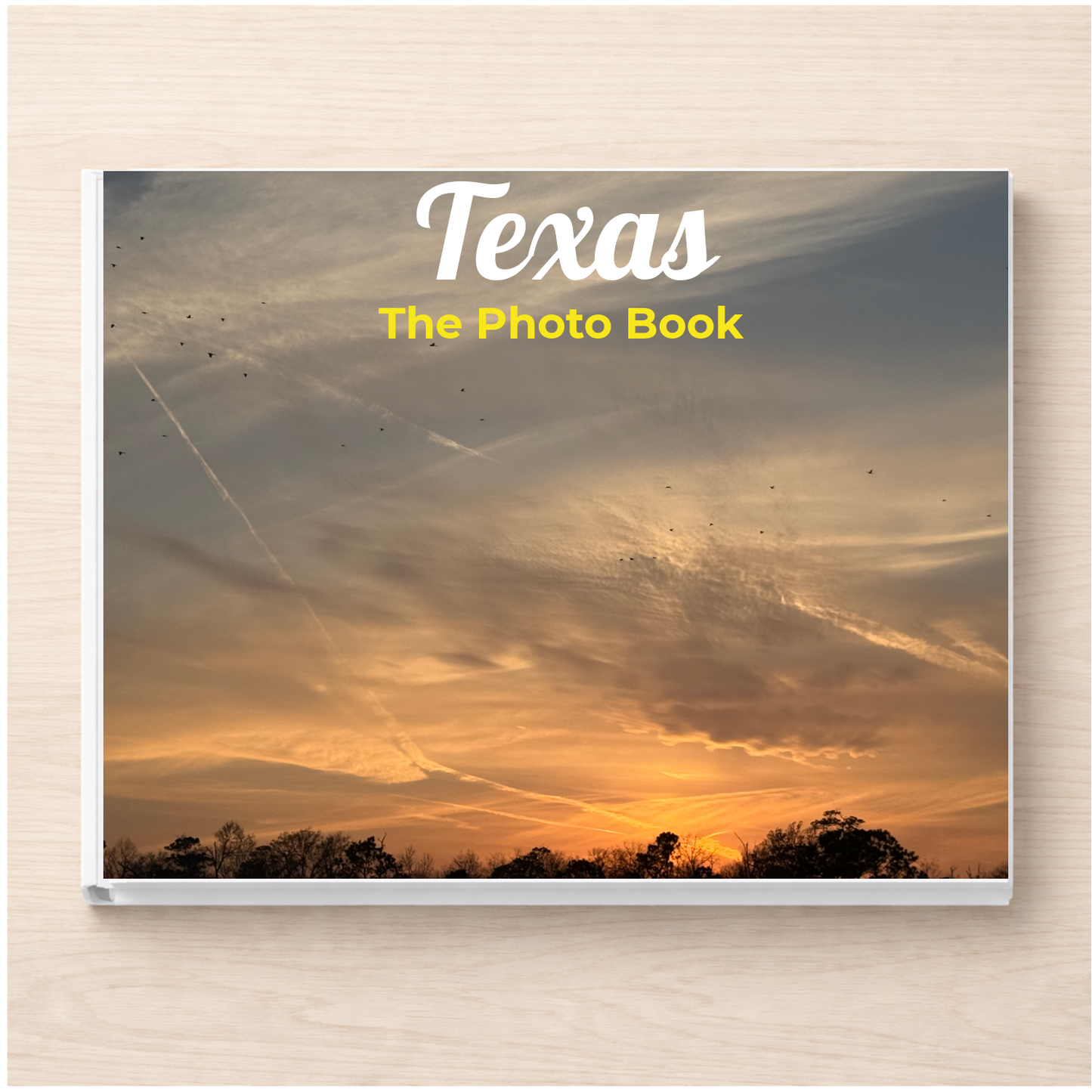 Texas: The Photo Book