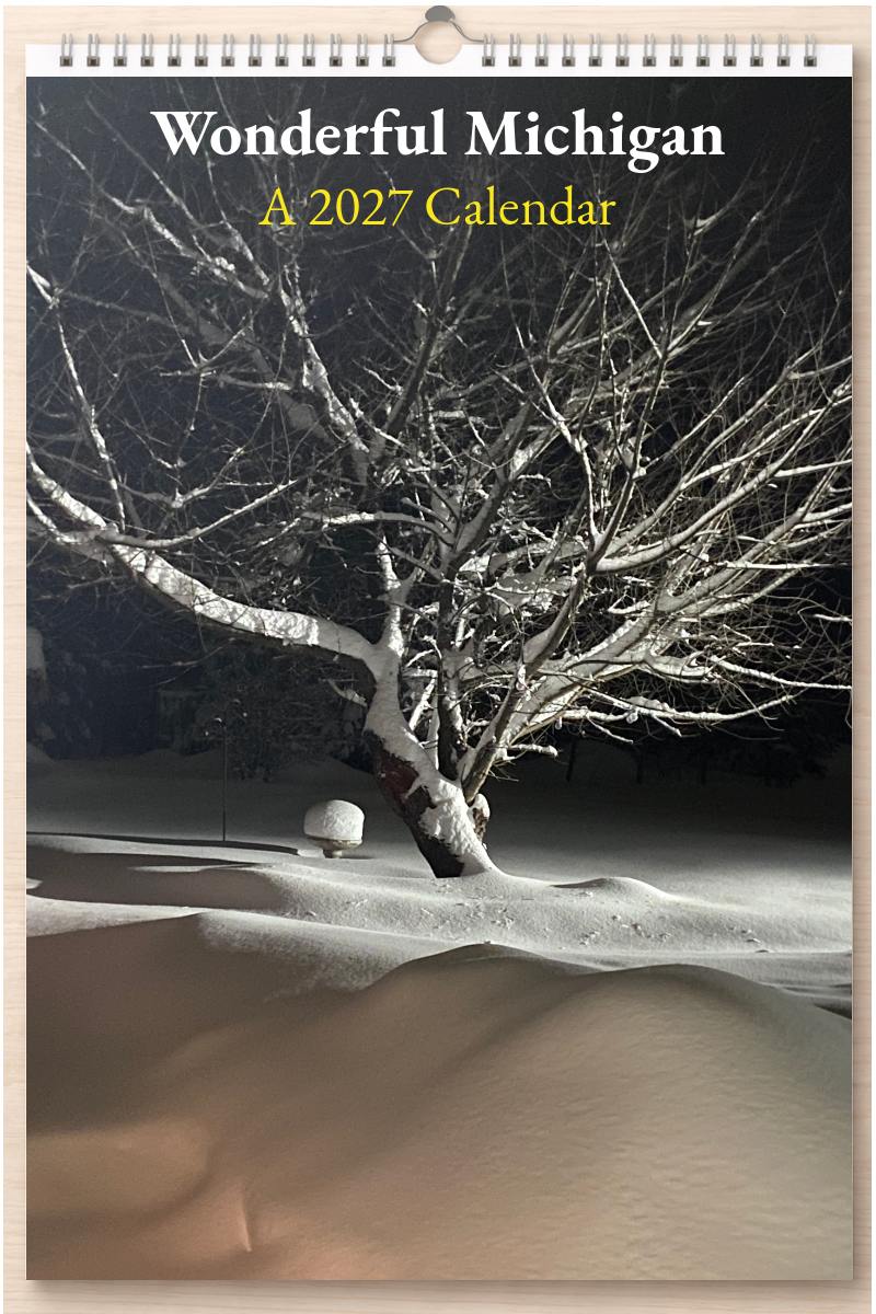 Wonderful Michigan: A 2027 Calendar