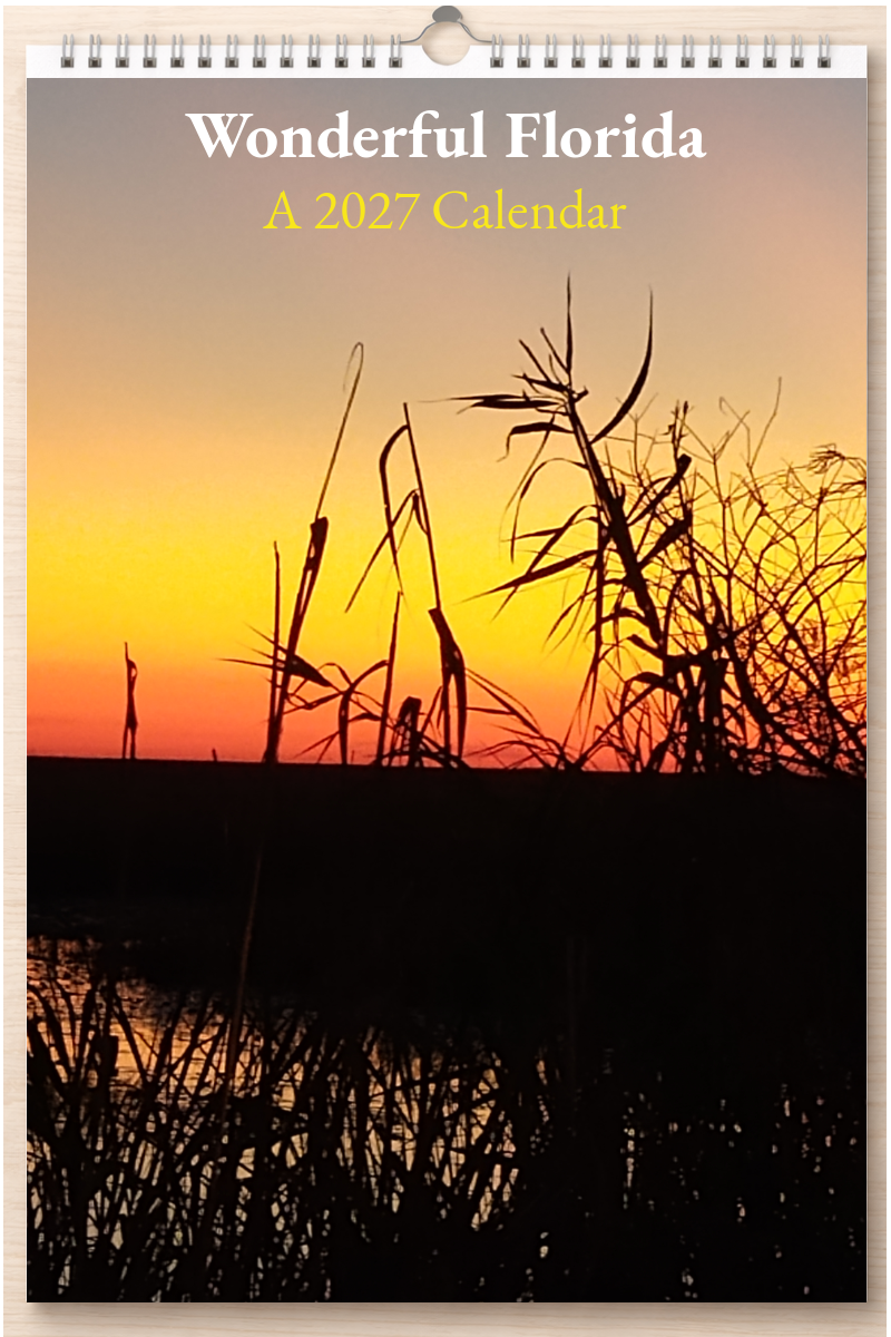 Wonderful Florida: A 2027 Calendar