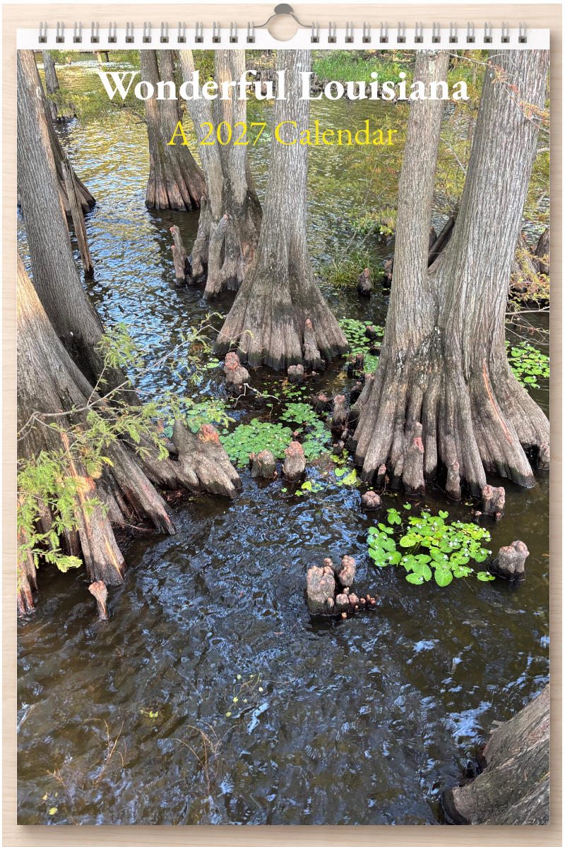 Wonderful Louisiana: A 2027 Calendar