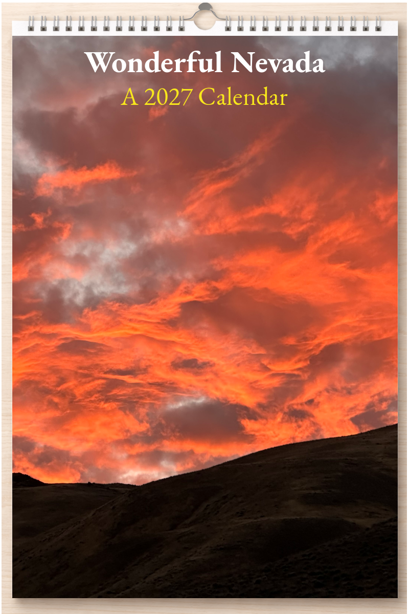 Wonderful Nevada: A 2027 Calendar