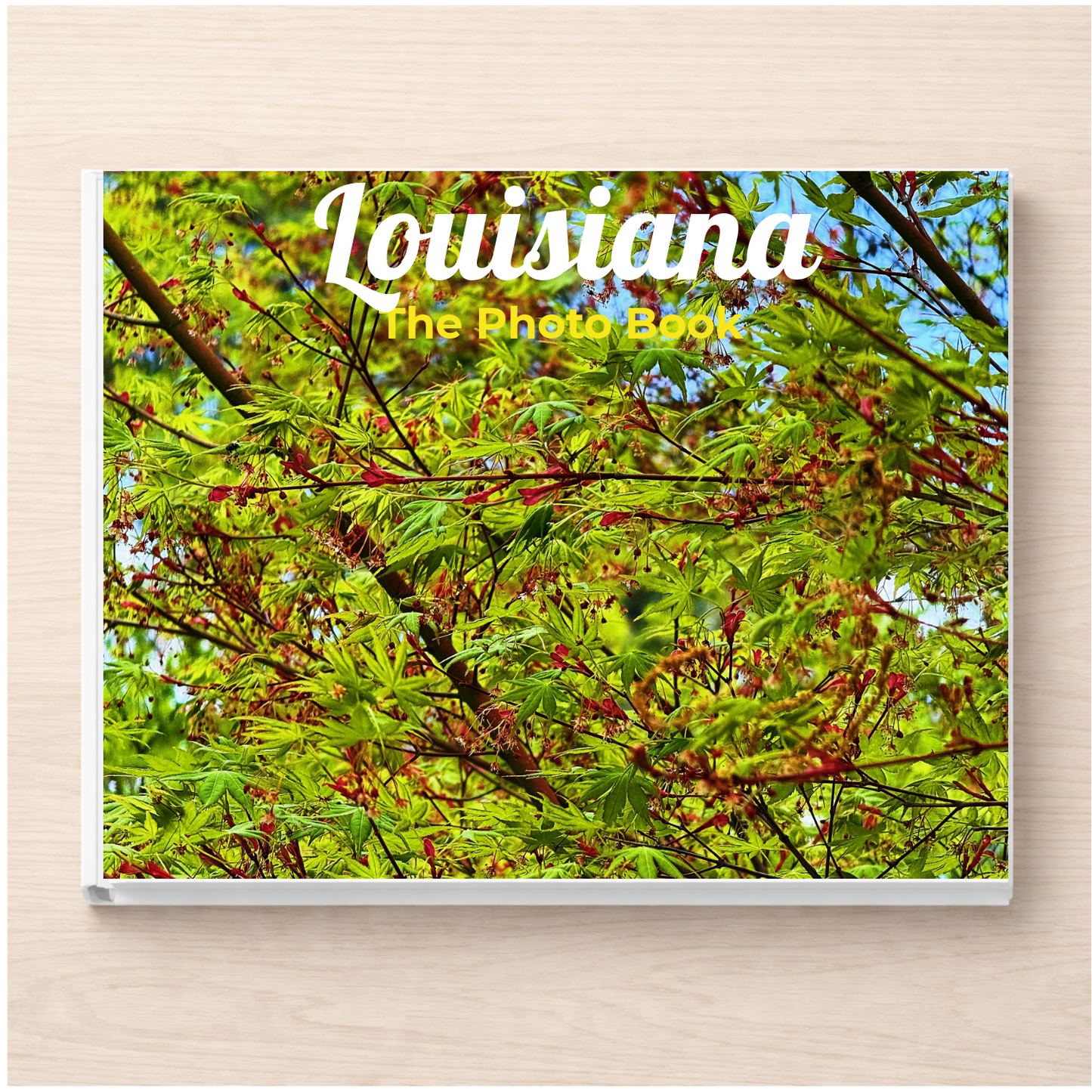 Louisiana: The Photo Book