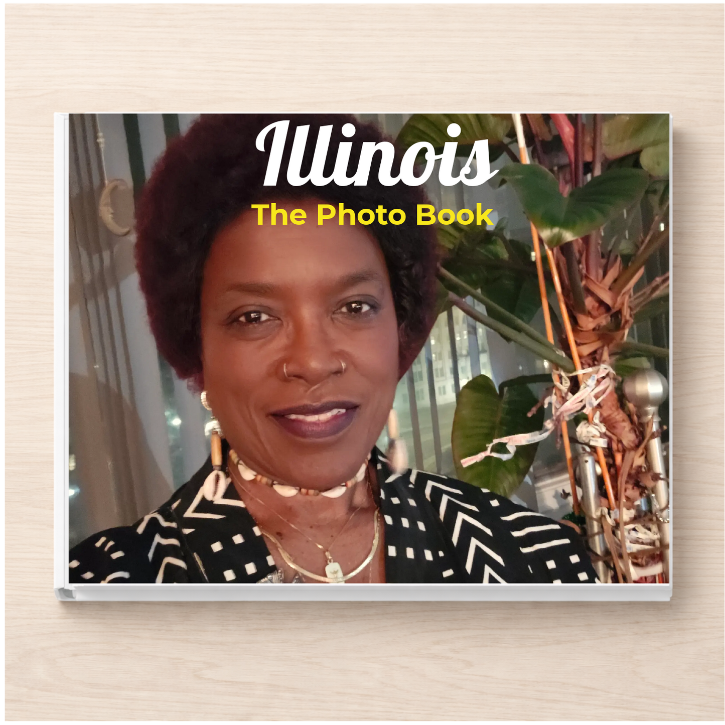 Illinois: The Photo Book