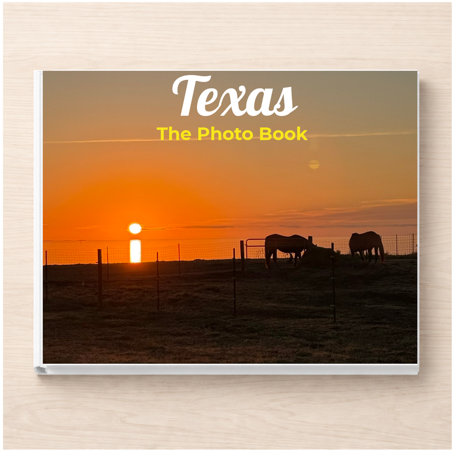 Texas: The Photo Book