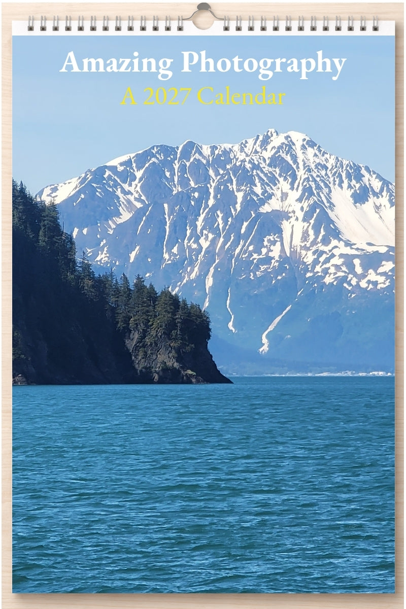 Amazing Photography: A 2027 Calendar