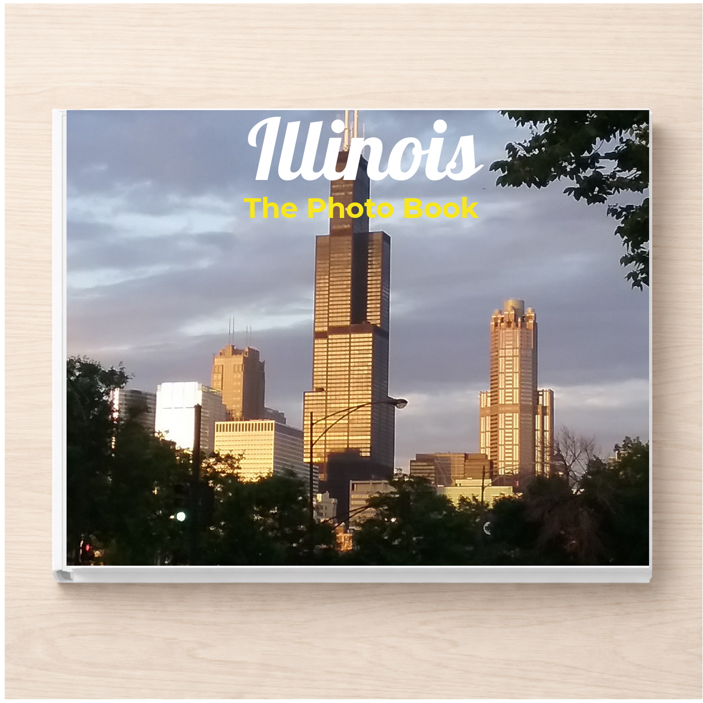 Illinois: The Photo Book