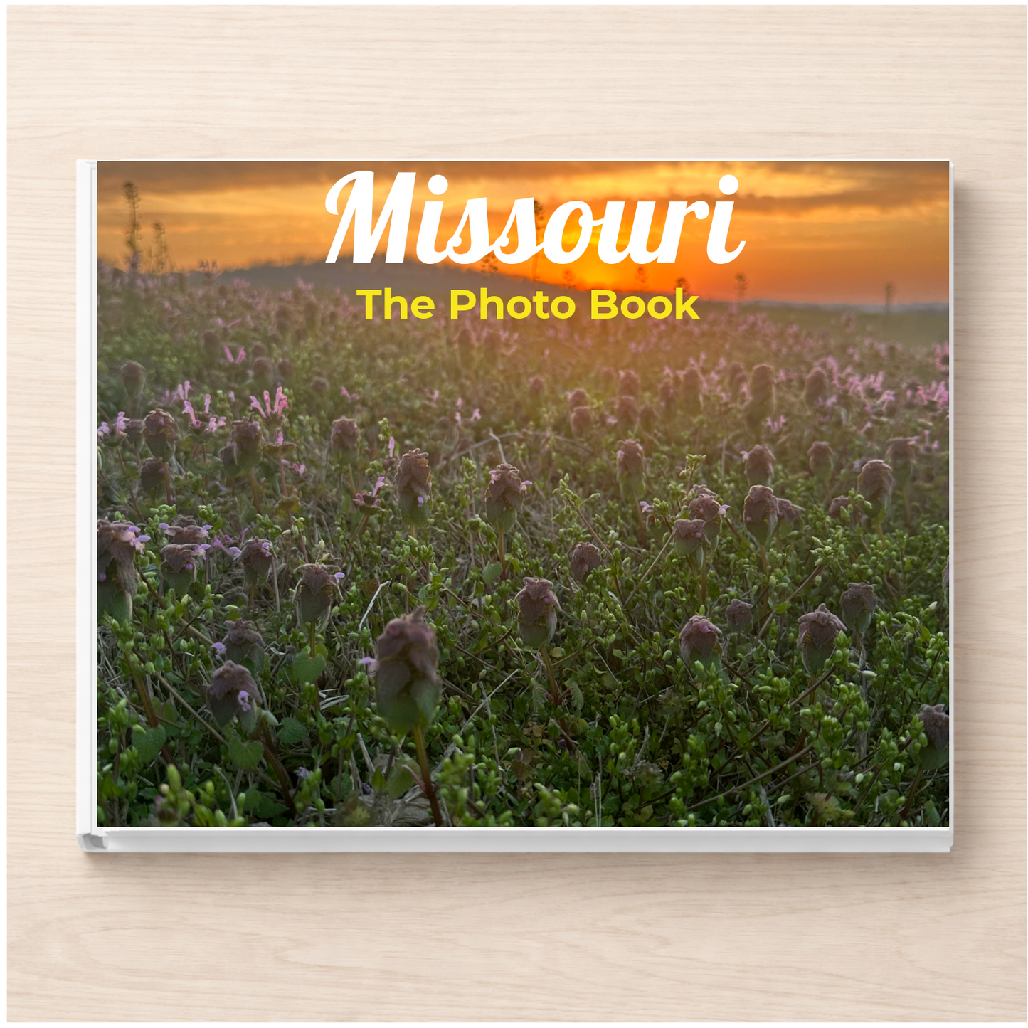 Missouri: The Photo Book