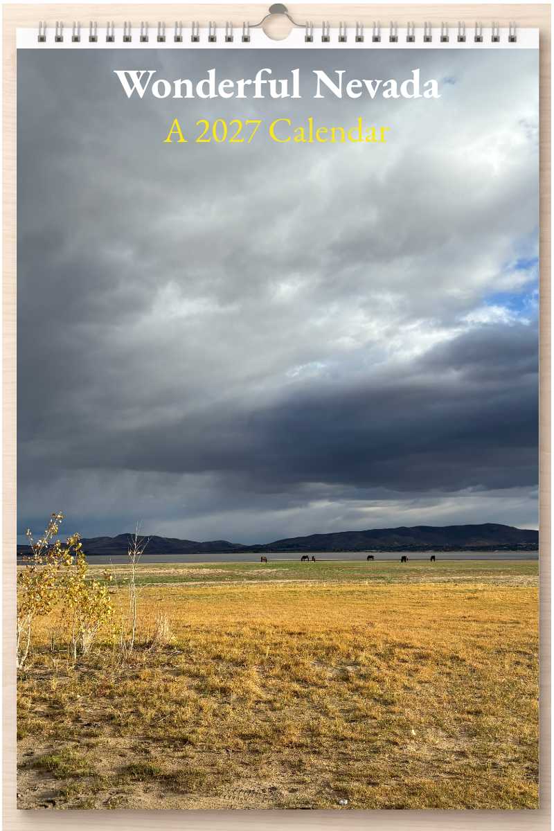 Wonderful Nevada: A 2027 Calendar