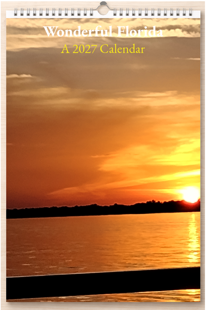 Wonderful Florida: A 2027 Calendar