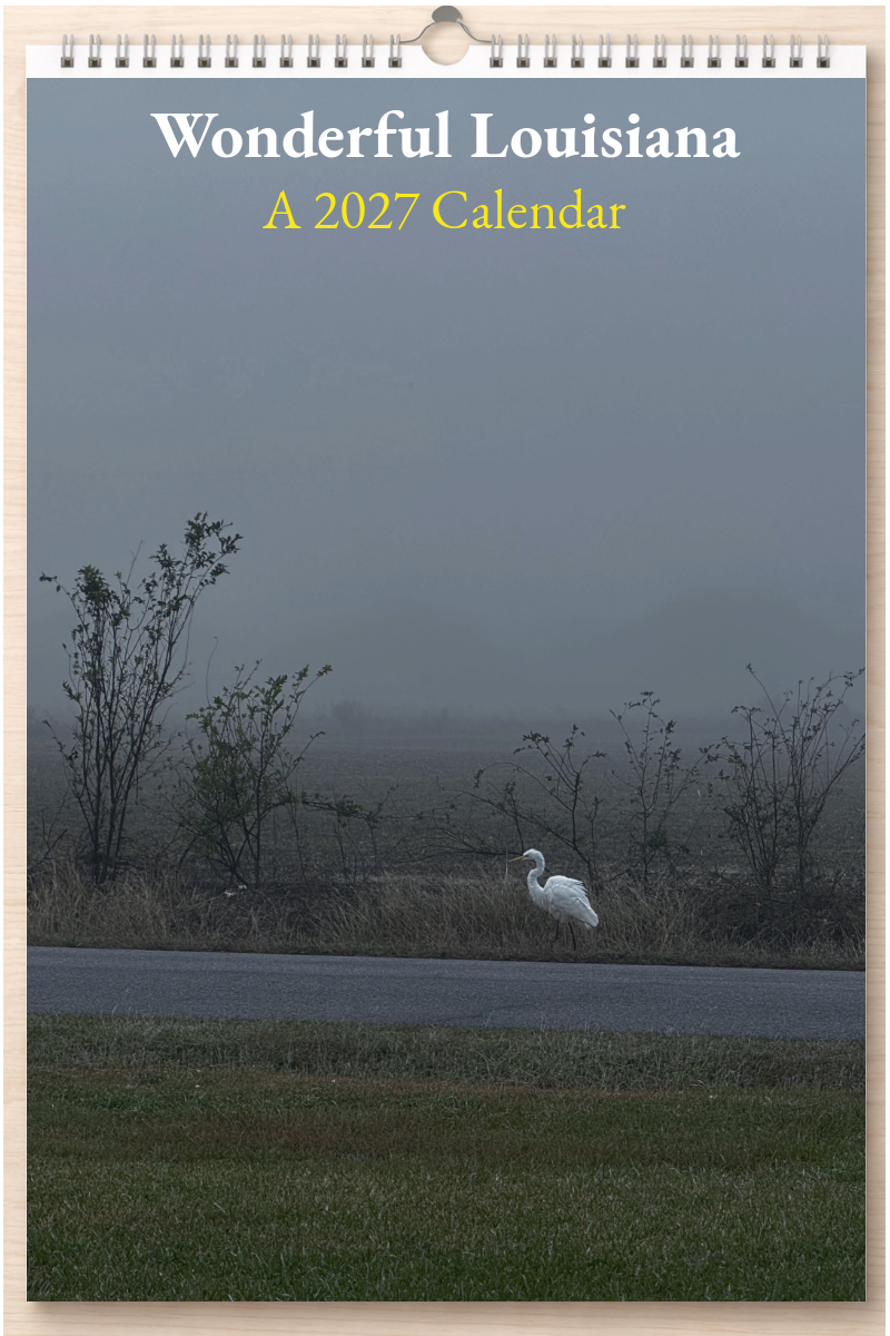 Wonderful Louisiana: A 2027 Calendar